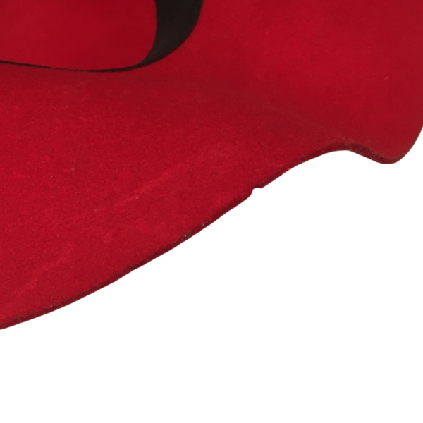 Cherry Rodeo Hat - Image 7