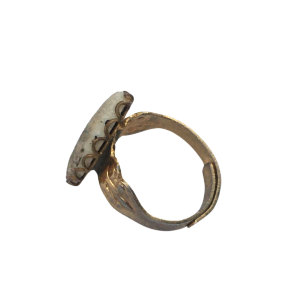 Ancient Sea Creature House Ring - Image 2